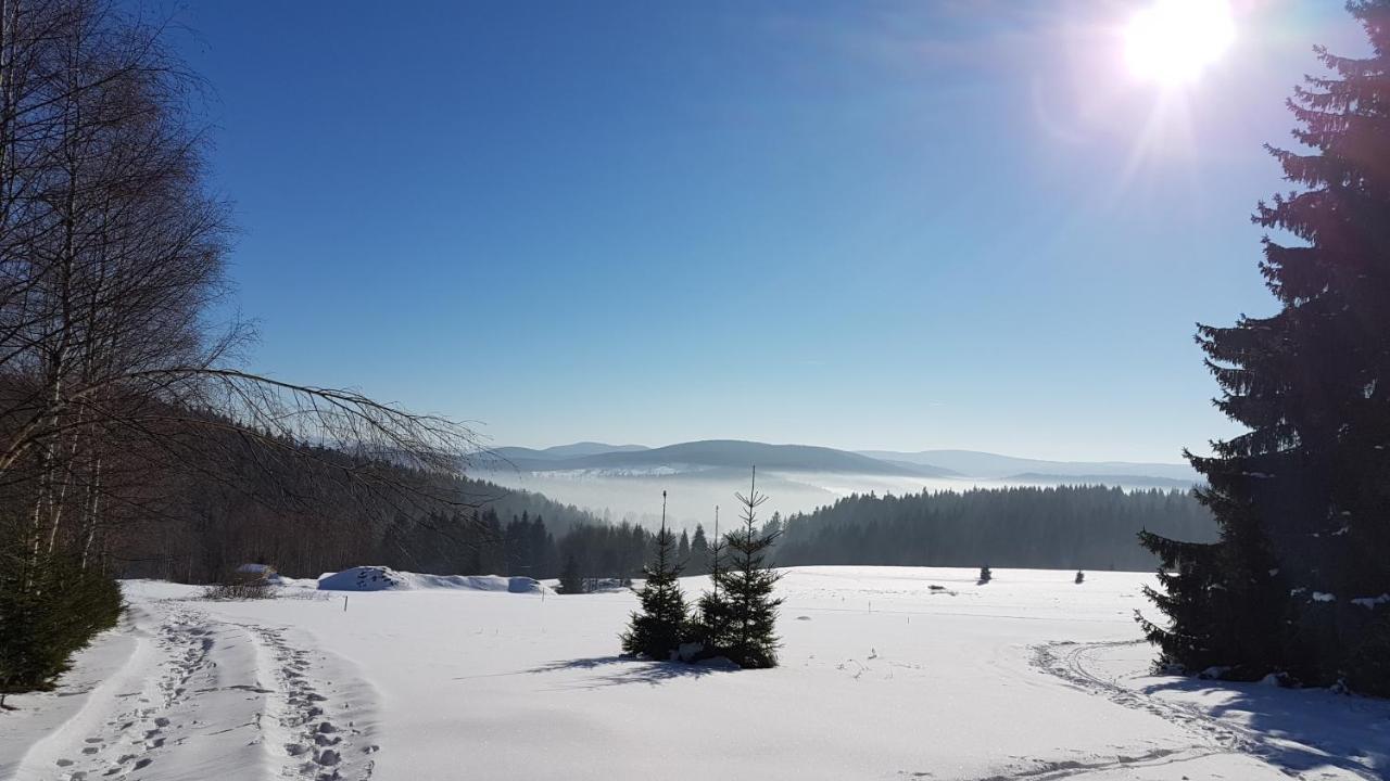 Dom Trzech Braci Villa Lądek-Zdrój Dış mekan fotoğraf