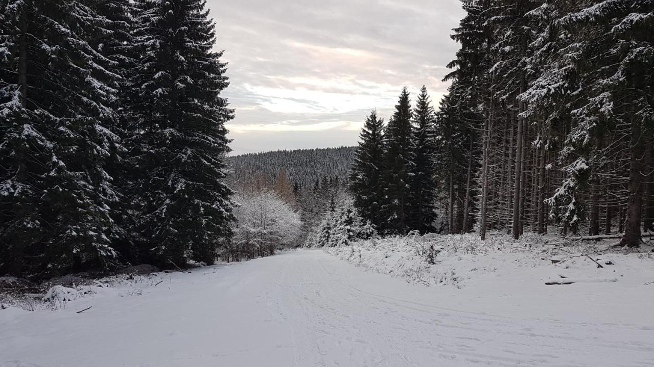 Dom Trzech Braci Villa Lądek-Zdrój Dış mekan fotoğraf