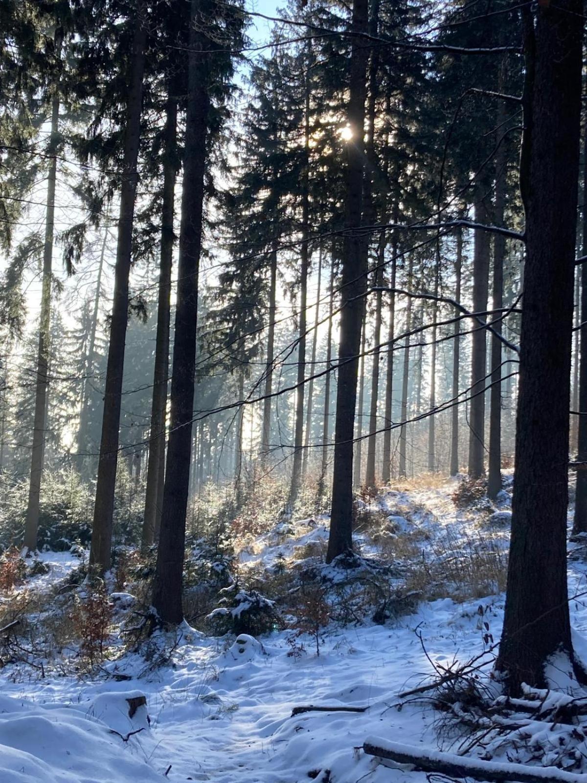 Dom Trzech Braci Villa Lądek-Zdrój Dış mekan fotoğraf