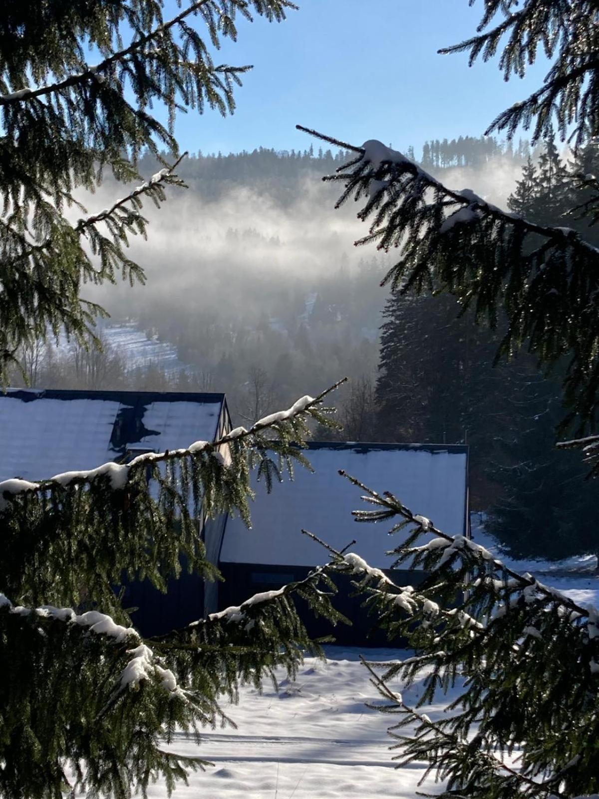 Dom Trzech Braci Villa Lądek-Zdrój Dış mekan fotoğraf