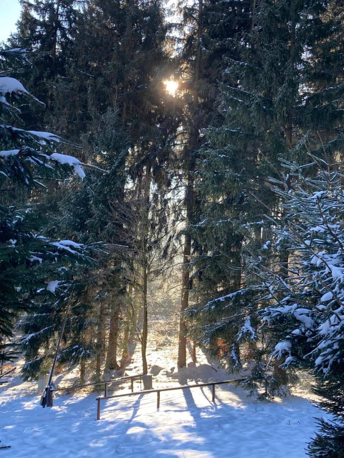 Dom Trzech Braci Villa Lądek-Zdrój Dış mekan fotoğraf