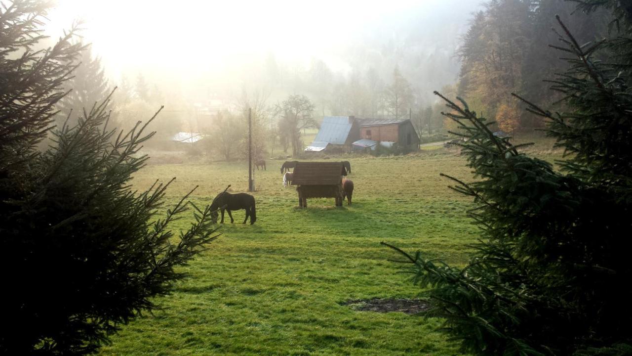 Dom Trzech Braci Villa Lądek-Zdrój Dış mekan fotoğraf